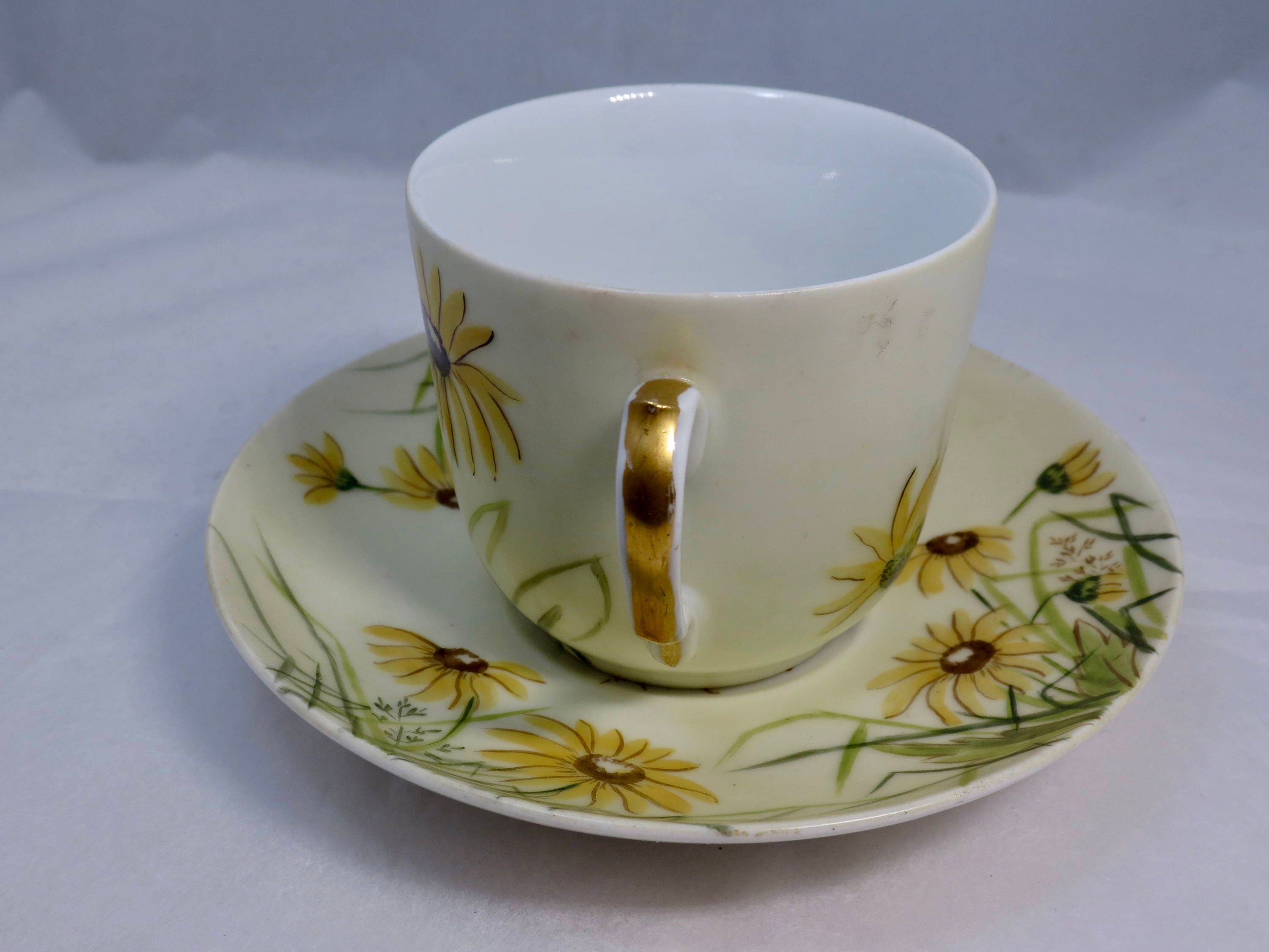 Vintage Hand painted Limoges tea cup and order saucer