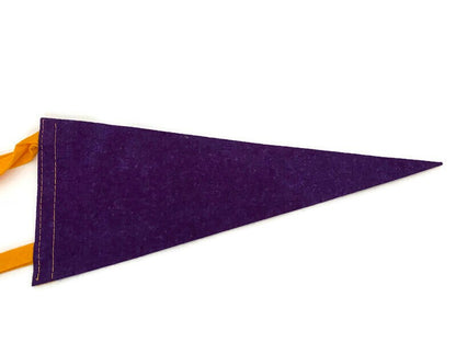 Vintage Howes Caverns Pennant