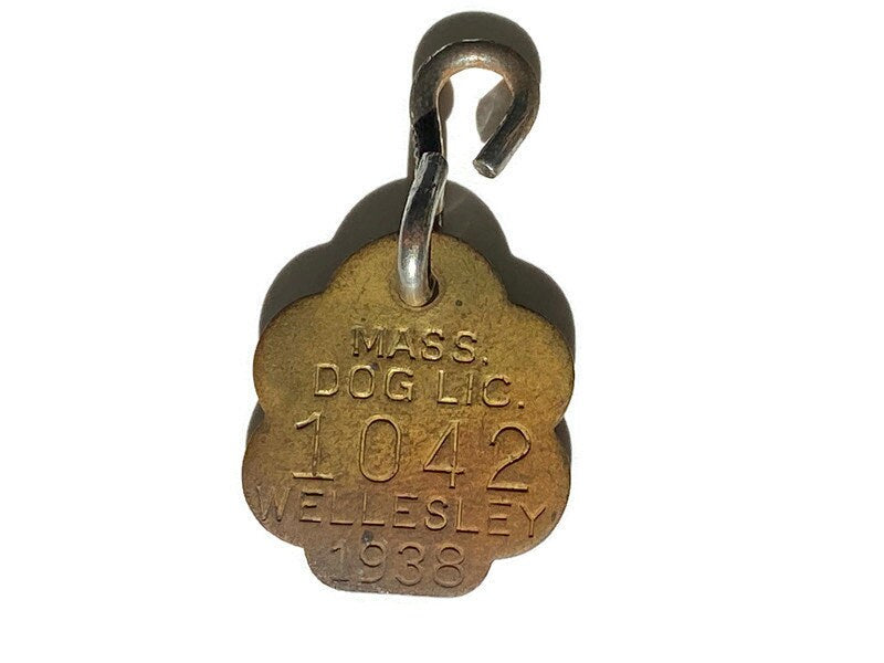 1938 Wellesley Massachusetts Brass Dog License Tag