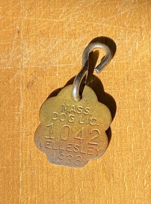 1938 Wellesley Massachusetts Brass Dog License Tag